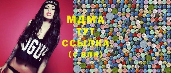 стаф Алексин