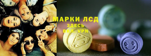 стаф Алексин