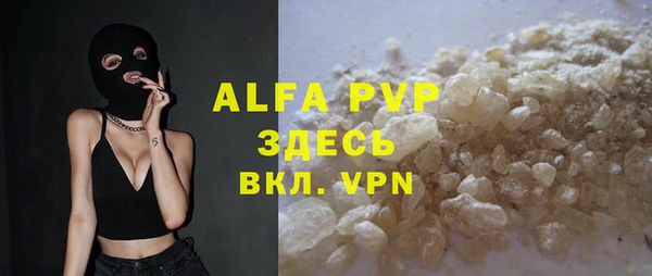 стаф Алексин