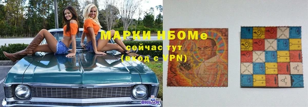 стаф Алексин