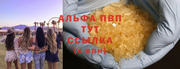 стаф Алексин